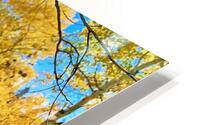 Aspen Hello HD Metal print