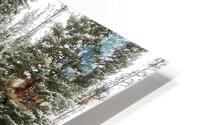 Winter Stream HD Metal print