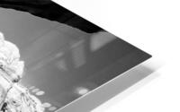 Wedge BW HD Metal print