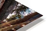 Sedona Views HD Metal print