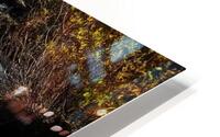 Mountain Creek HD Metal print