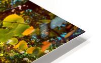 Apple Orchard HD Metal print