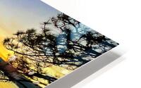 Lake Side HD Metal print