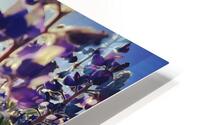 Purple Friends HD Metal print