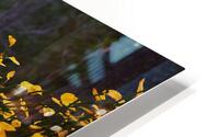 Almost Fireflies HD Metal print
