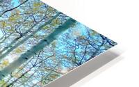 See Through HD Metal print