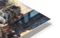 hands HD Metal print