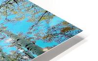 Aspire HD Metal print