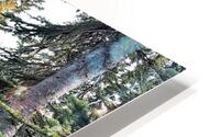 Paths HD Metal print