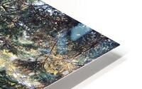 Fire Woods HD Metal print