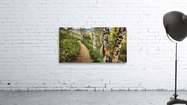 Out There Wall Preview