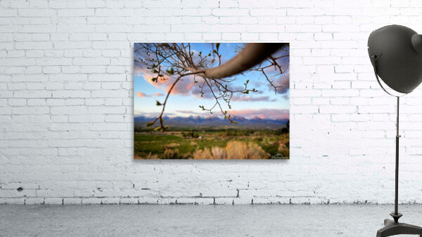 Hello Spring Wall Preview
