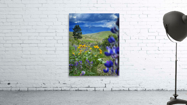 When Things Bloom Wall Preview