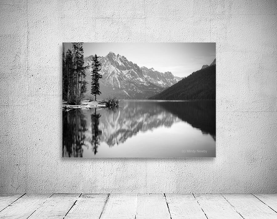 Lone Tree BW Wall Preview