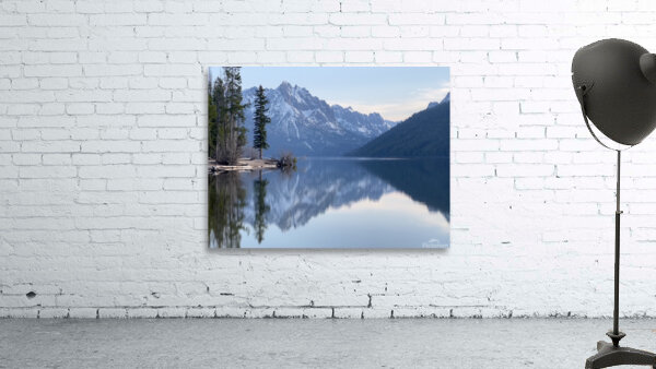 Lone Tree Wall Preview