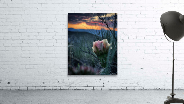 Thorny Things Wall Preview
