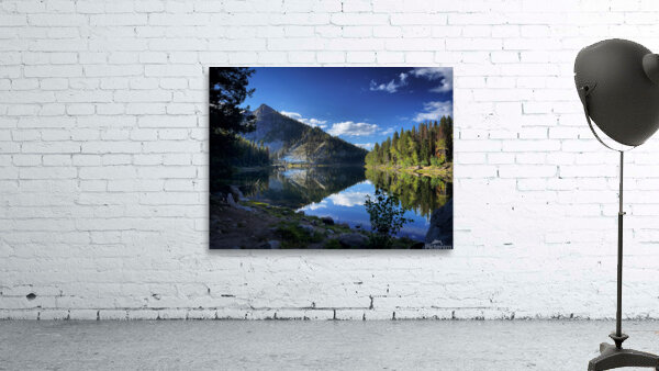 Big Beautiful World Wall Preview