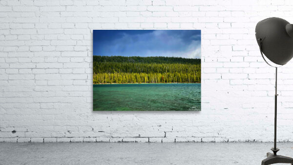 Dreaming Wall Preview