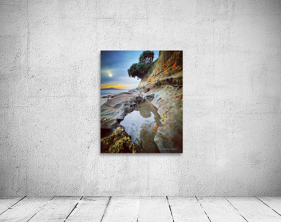 Auckland beach Wall Preview