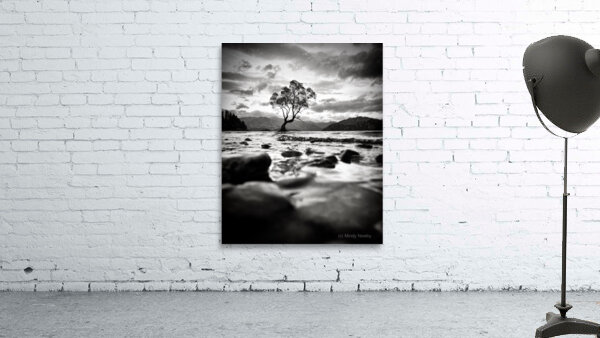 Wanaka Tree BW Wall Preview