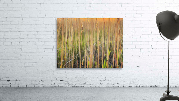 Glow Sticks Wall Preview