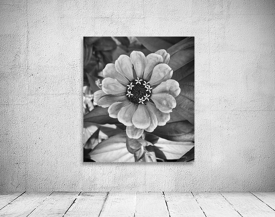 Happiest BW Wall Preview