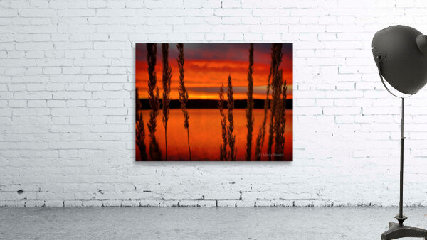 Red Sunset Payette Wall Preview