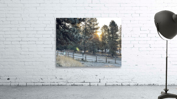 Idahome morning Wall Preview