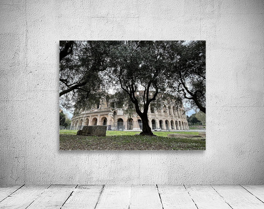 Colosseum Tree Wall Preview