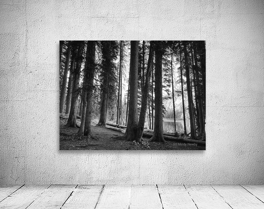 The Woods Wall Preview