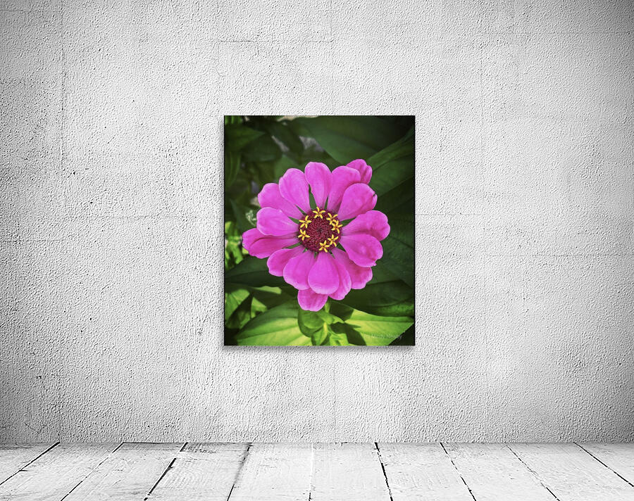 Happiest Wall Preview