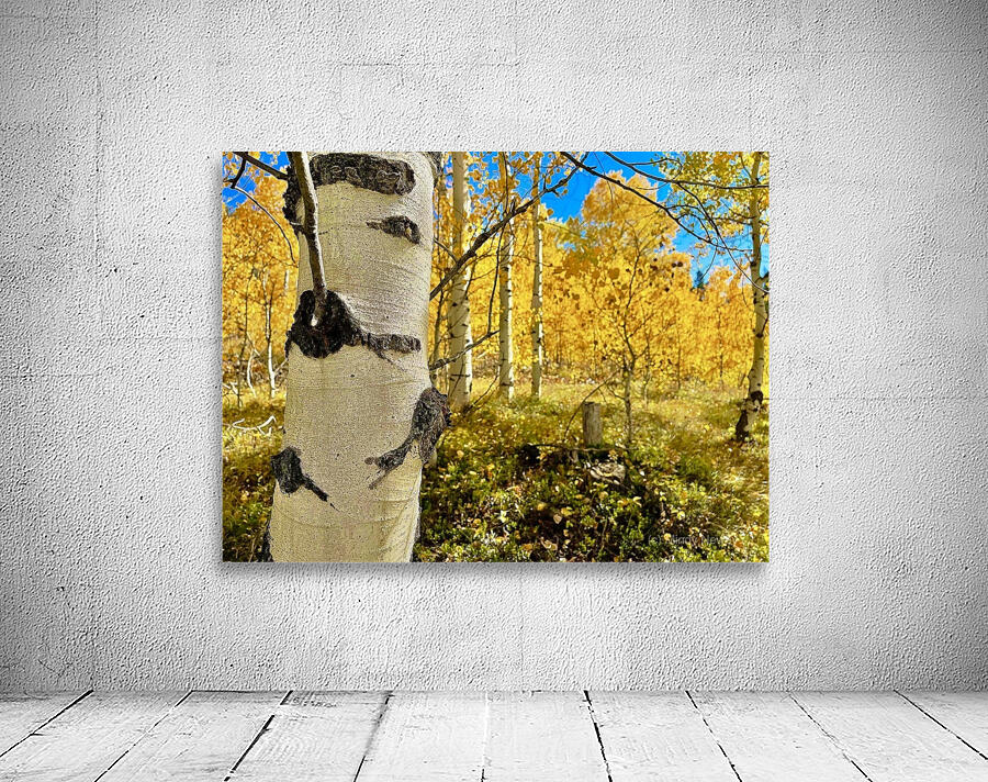 Aspen Hello Wall Preview