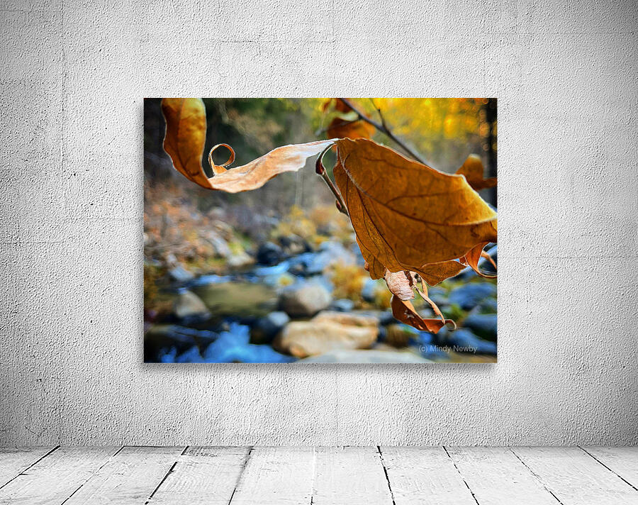 Serene Walk Wall Preview