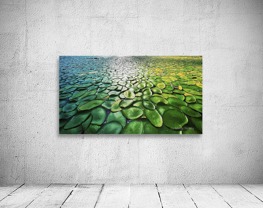 Lilly Pads Wall Preview