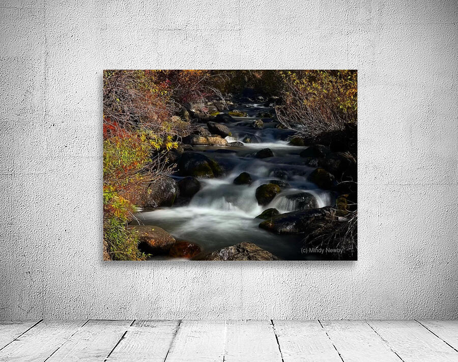 Mountain Creek Wall Preview