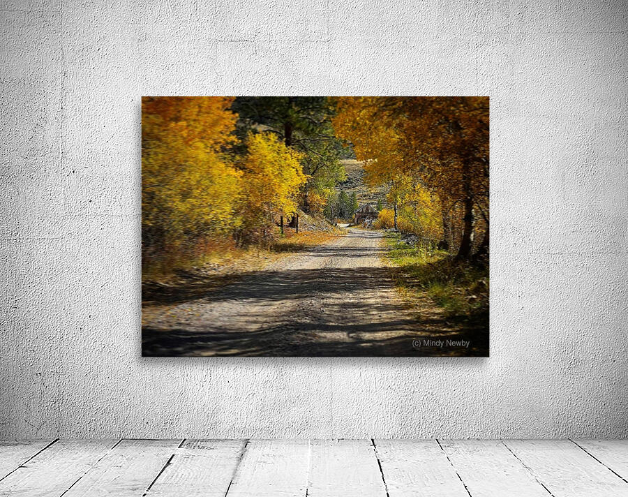 Backroads Wall Preview