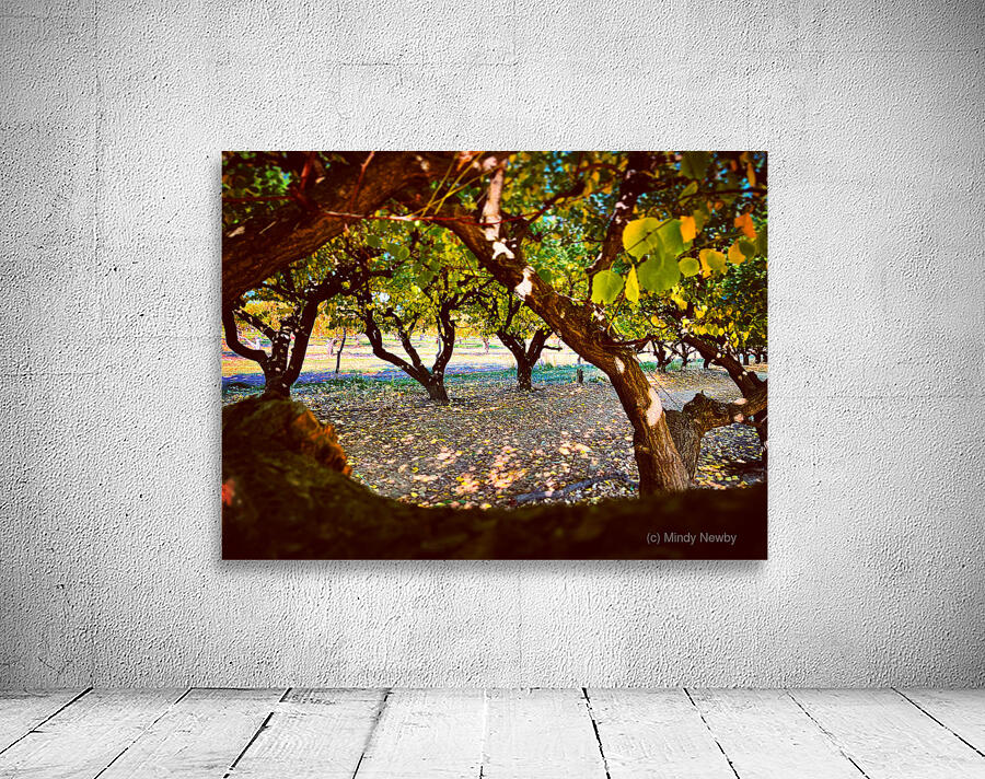 Apple Orchard Wall Preview