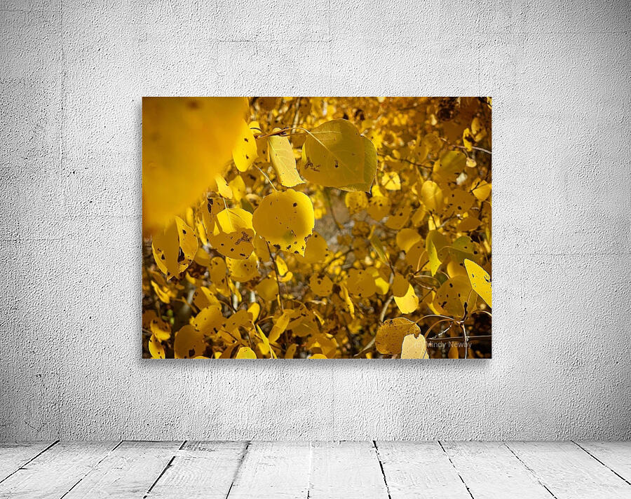 Golden Glows Wall Preview