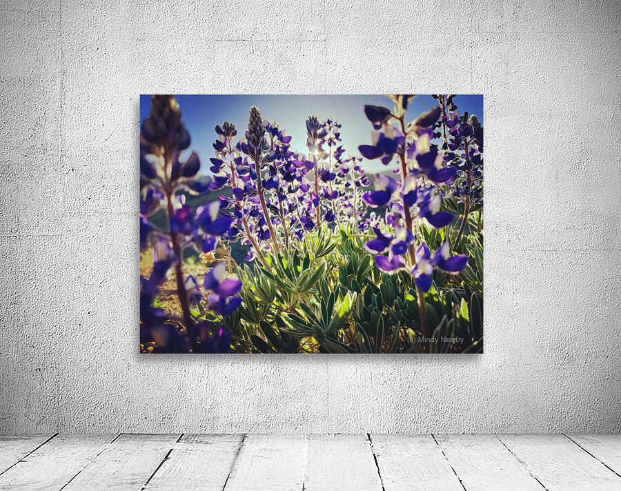 Purple Friends Wall Preview