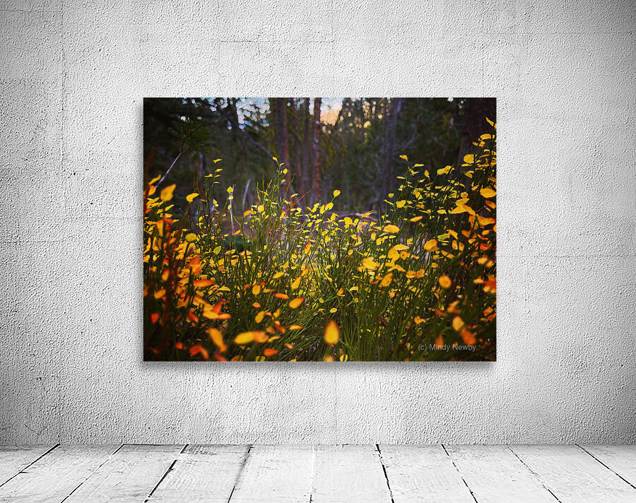 Almost Fireflies Wall Preview