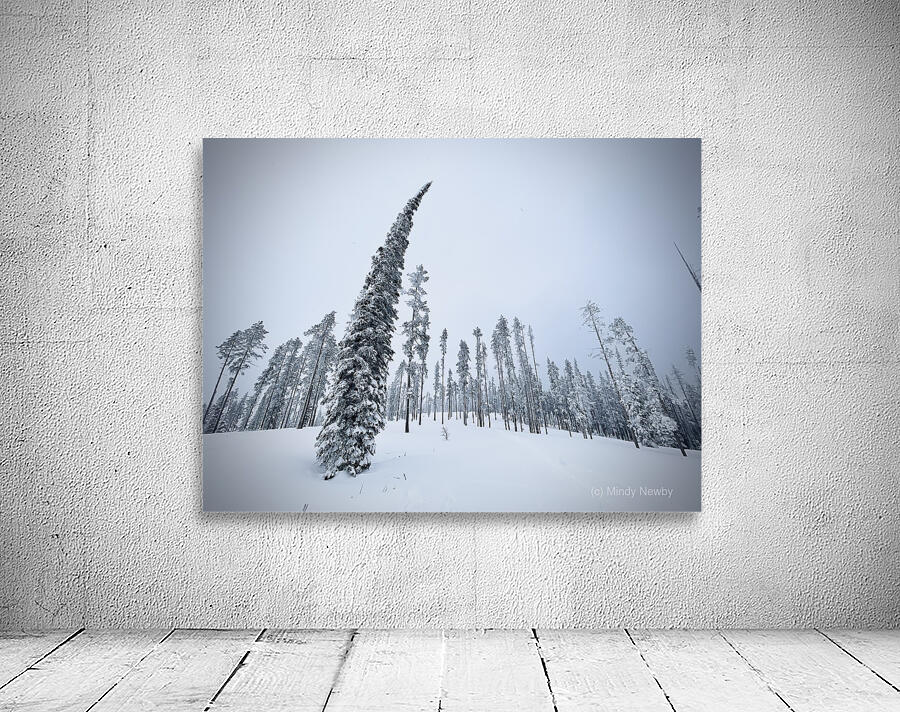 Sway Factor Wall Preview