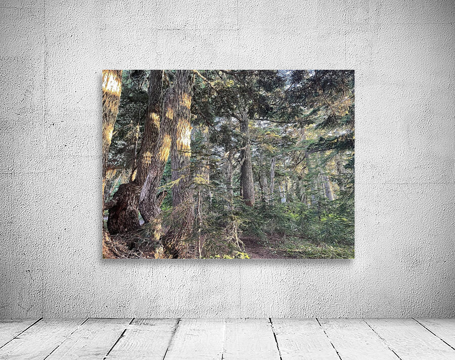 Fire Woods Wall Preview