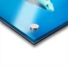 grey reef shark 7744765 Acrylic print