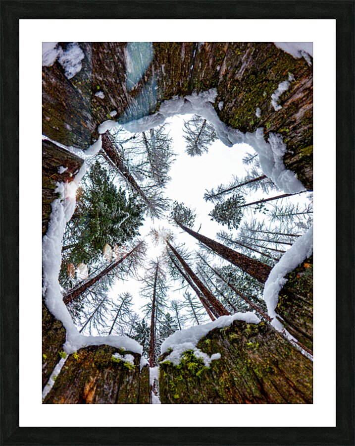 Look up Picture Frame print
