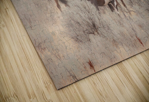 Wild Horses Angela Skinner Photography puzzle