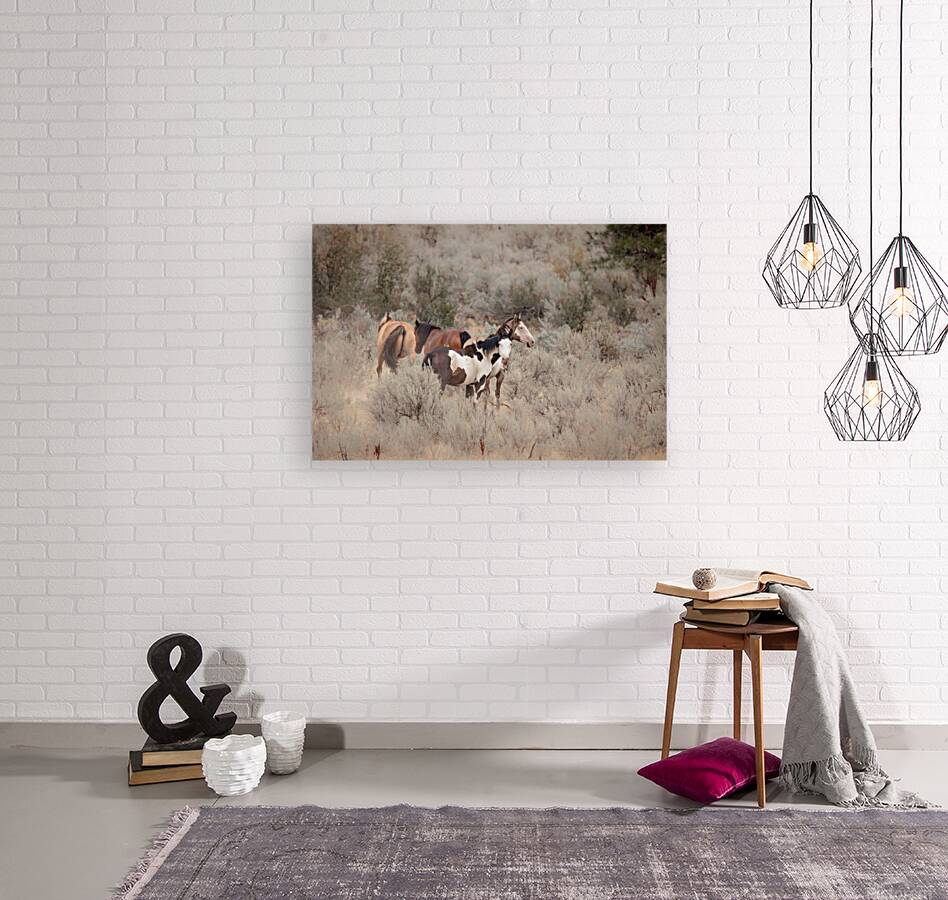 Wild Horses Reproduction