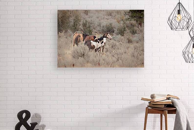 Wild Horses by Angela Skinner Photography