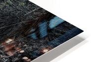 Mark Creek  HD Metal print