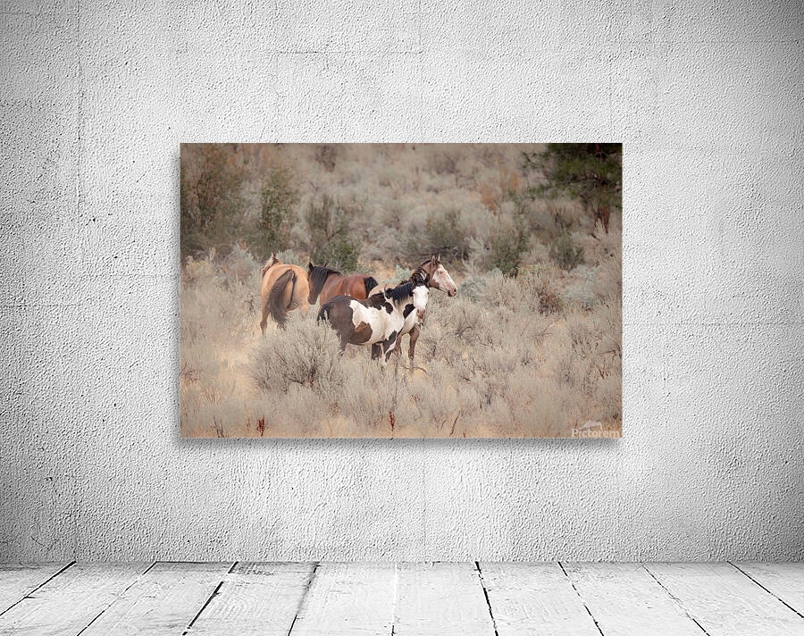Wild Horses Wall Preview
