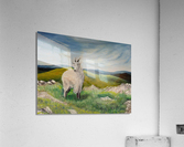 Rocky Mountain Goat Acrylic Print
